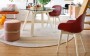 Connubia Calligaris Academy Chair Wood Legs With Arms