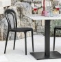 Connubia Calligaris Caffe Outdoor Chair