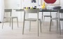 Calligaris Skin Chair, Mixed Set of 6 - In Stock
