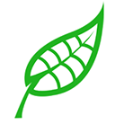 Leaf icon